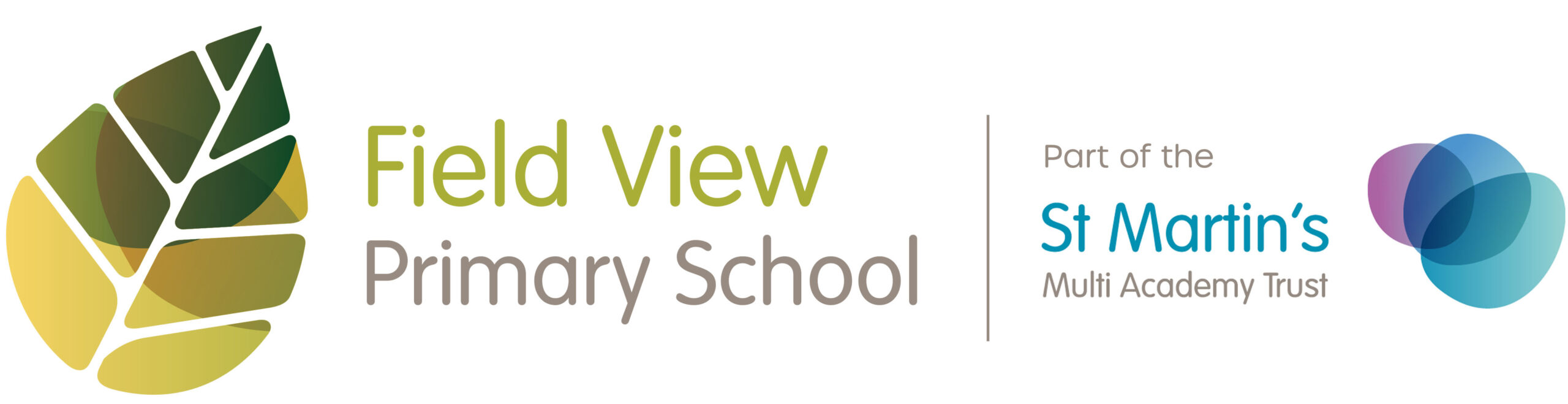 Field View Primary
